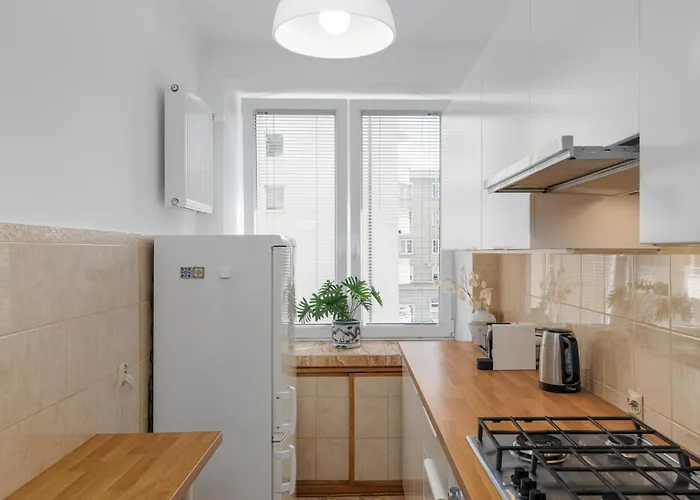 Apartment Luxury In Cozy Spacious Near Heart Of